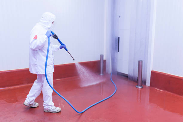 Best Playground Equipment Cleaning  in Ransom Canyon, TX